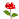 dvubb